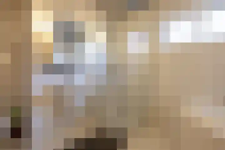 Esdoornlaan 23 Wormerveer thumbnail 32