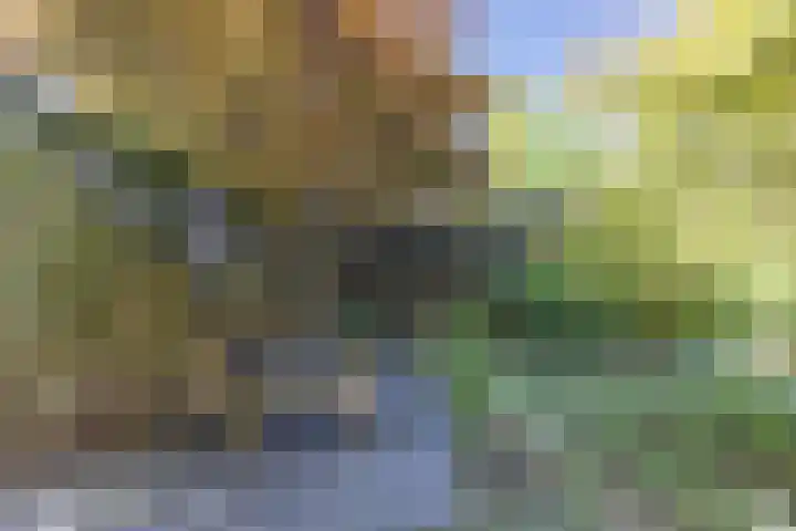 Esdoornlaan 23 Wormerveer thumbnail 37
