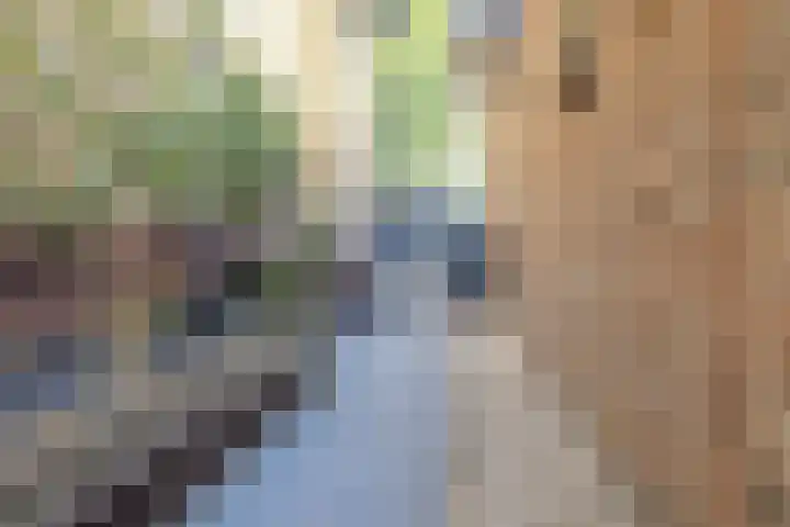 Esdoornlaan 23 Wormerveer thumbnail 38