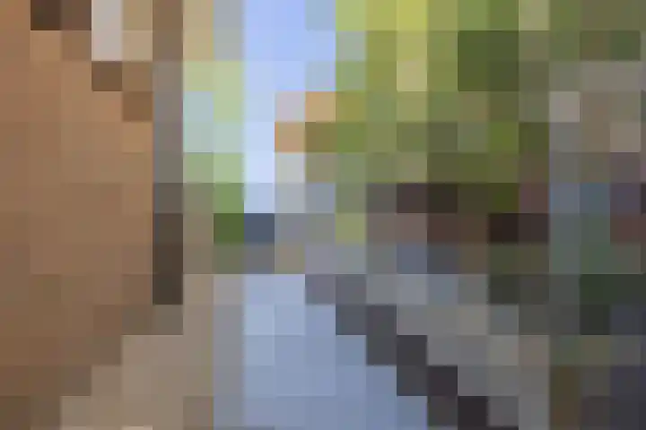 Esdoornlaan 23 Wormerveer thumbnail 40