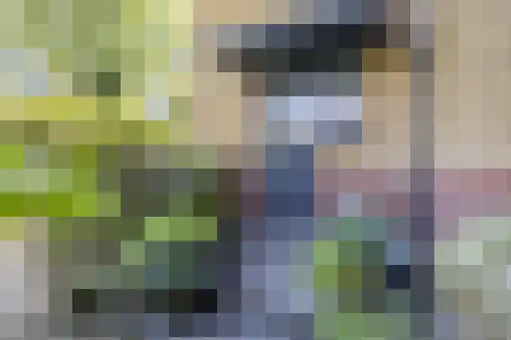Esdoornlaan 23 Wormerveer thumbnail 41