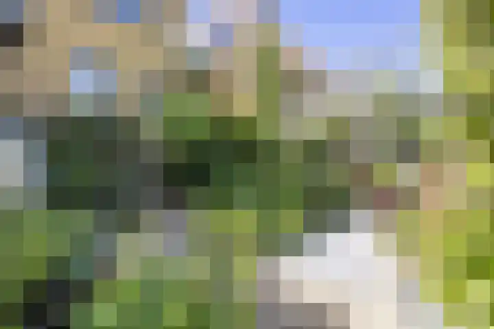 Esdoornlaan 23 Wormerveer thumbnail 42