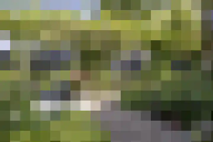 Esdoornlaan 23 Wormerveer thumbnail 43