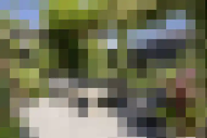 Esdoornlaan 23 Wormerveer thumbnail 44