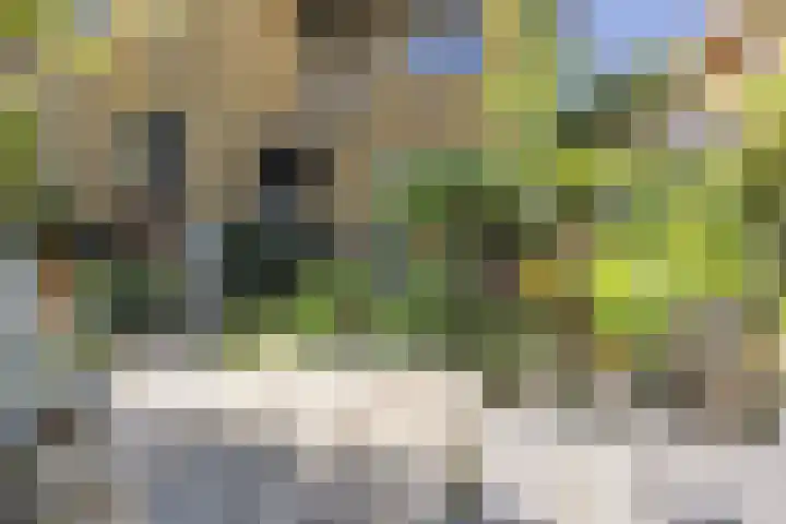 Esdoornlaan 23 Wormerveer thumbnail 45