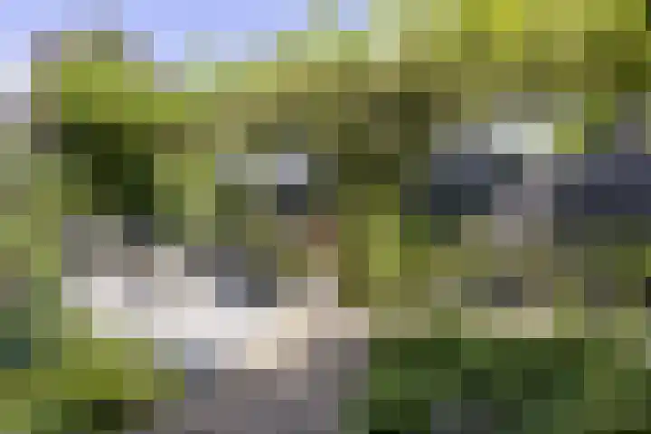 Esdoornlaan 23 Wormerveer thumbnail 46