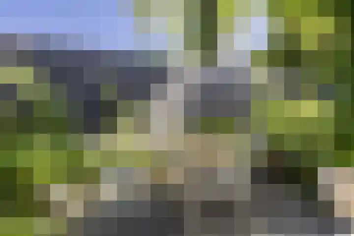 Esdoornlaan 23 Wormerveer thumbnail 47