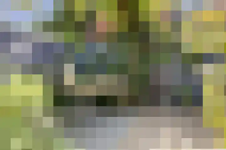 Esdoornlaan 23 Wormerveer thumbnail 48