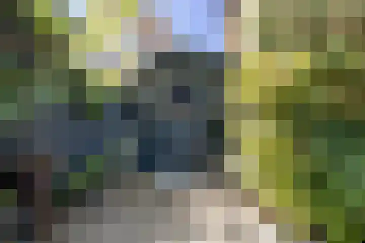 Esdoornlaan 23 Wormerveer thumbnail 50
