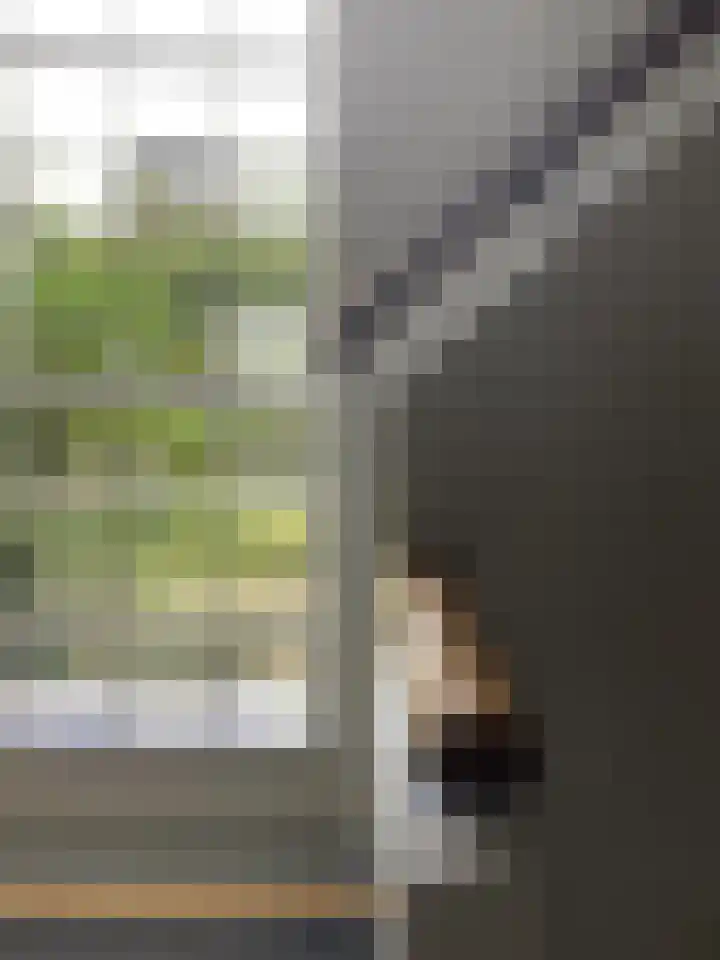 Esdoornlaan 23 Wormerveer thumbnail 56