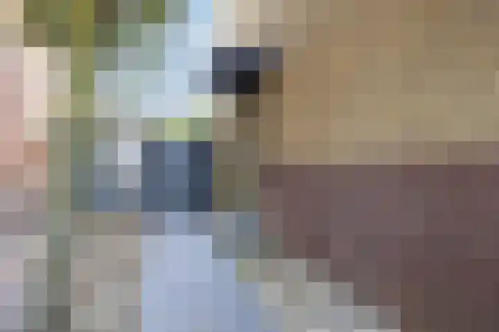Esdoornlaan 23 Wormerveer thumbnail 6