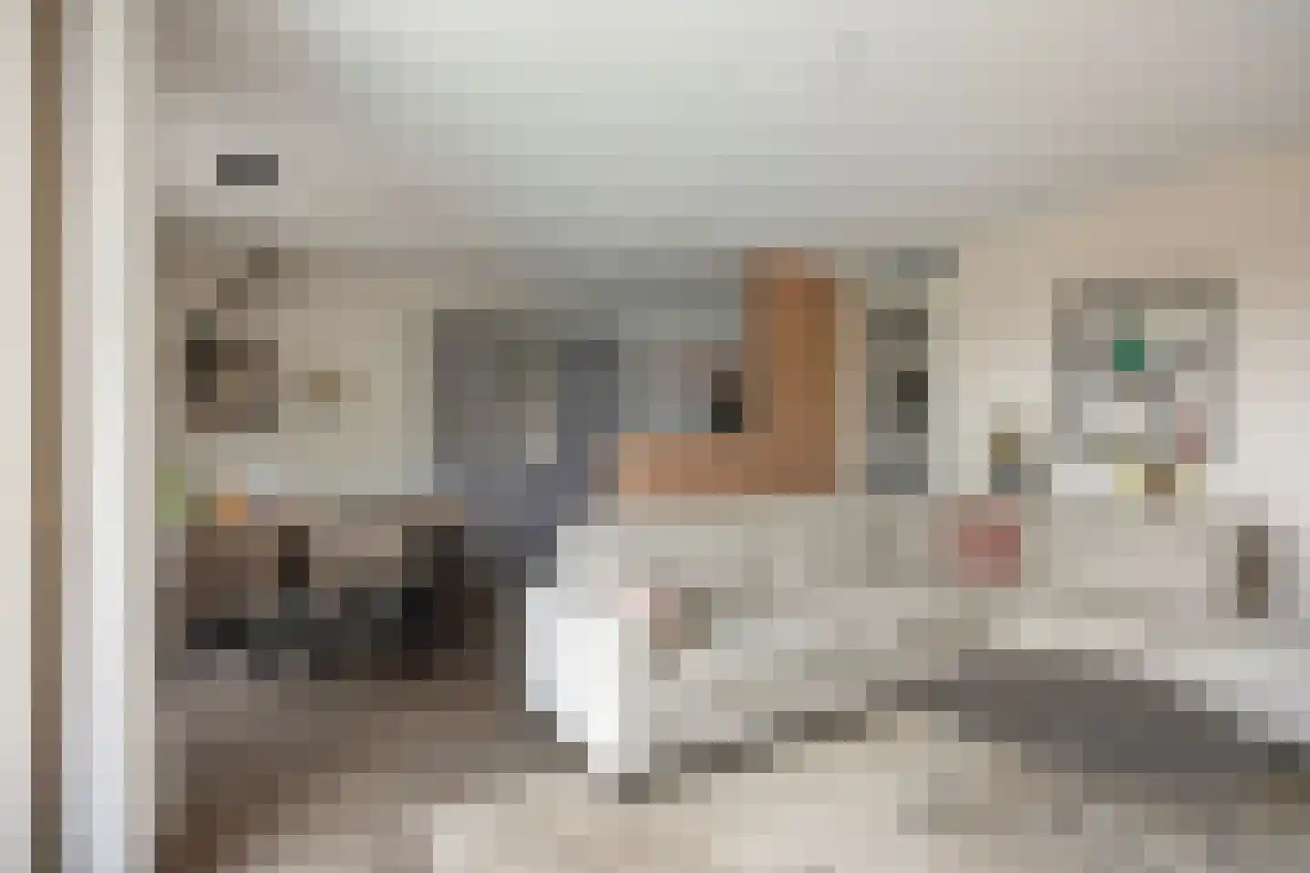 Esdoornlaan 24 Woudenberg thumbnail 19