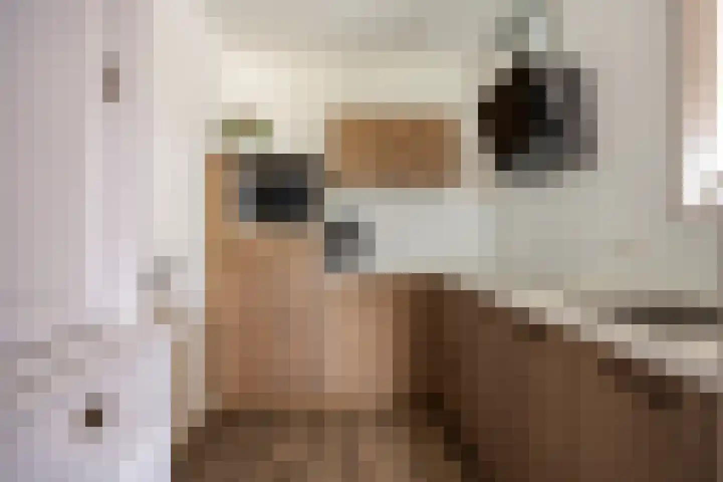 Esdoornlaan 24 Woudenberg thumbnail 4
