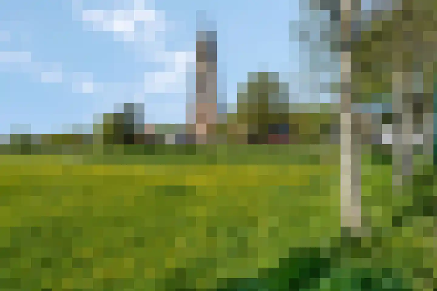 Esdoornlaan 25 Rhenen thumbnail 30