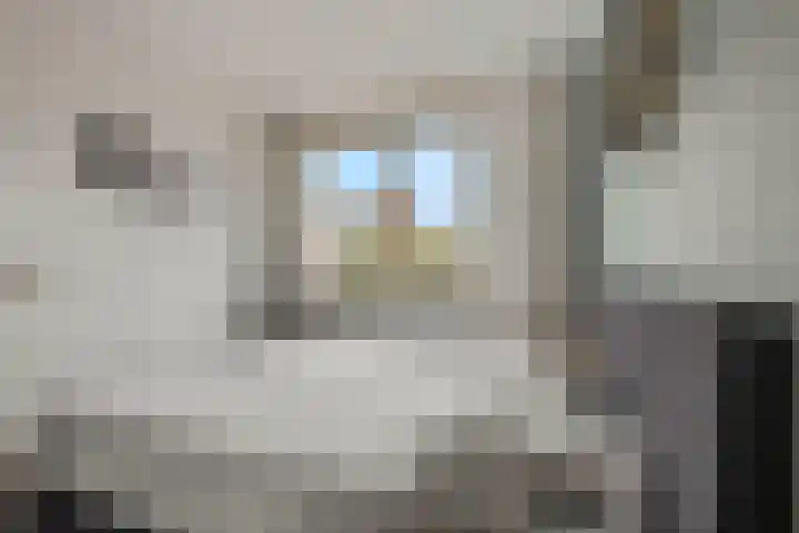 Esdoornlaan 25 Woudenberg thumbnail 23