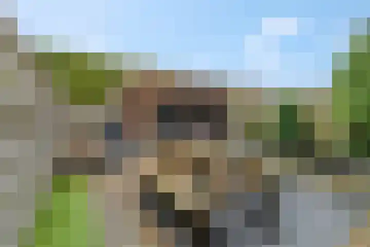 Esdoornlaan 25 Woudenberg thumbnail 37