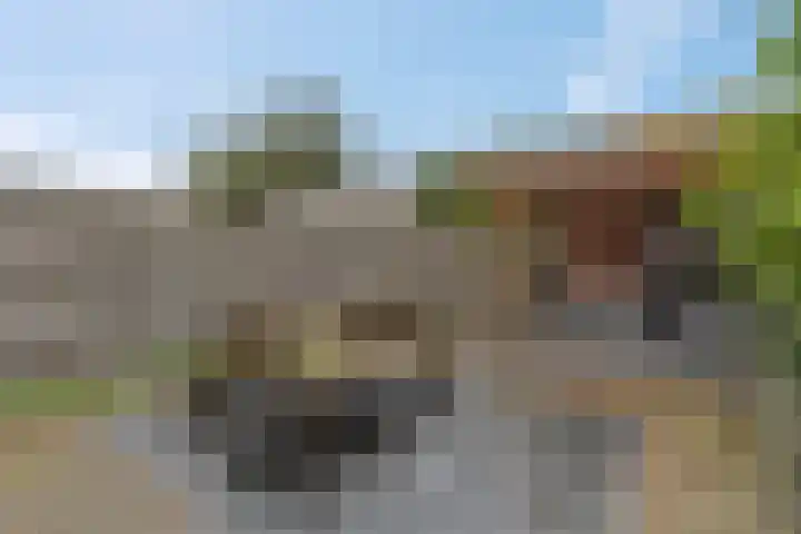 Esdoornlaan 25 Woudenberg thumbnail 38