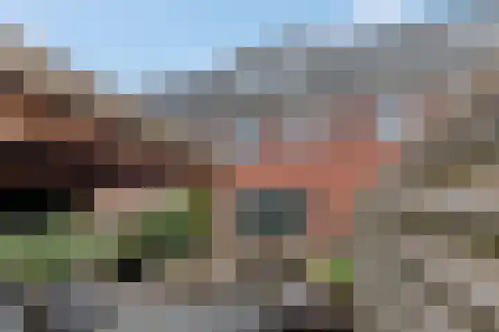 Esdoornlaan 25 Woudenberg thumbnail 40