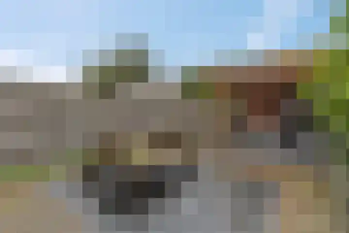 Esdoornlaan 25 Woudenberg thumbnail 5