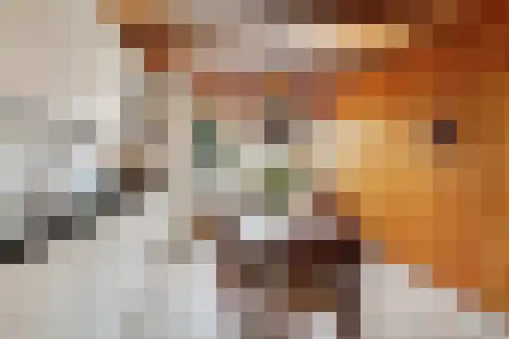 Esdoornlaan 26 Berkel en Rodenrijs thumbnail 11