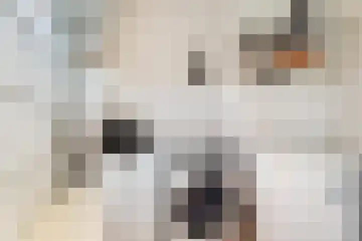 Esdoornlaan 26 Berkel en Rodenrijs thumbnail 13