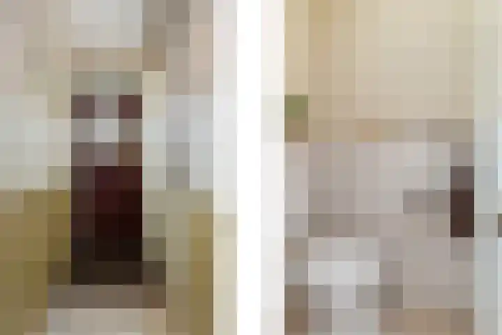 Esdoornlaan 26 Berkel en Rodenrijs thumbnail 16