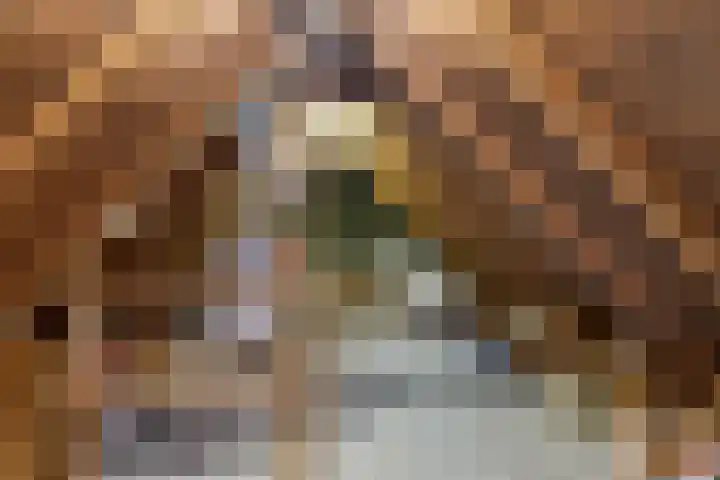 Esdoornlaan 26 Berkel en Rodenrijs thumbnail 28