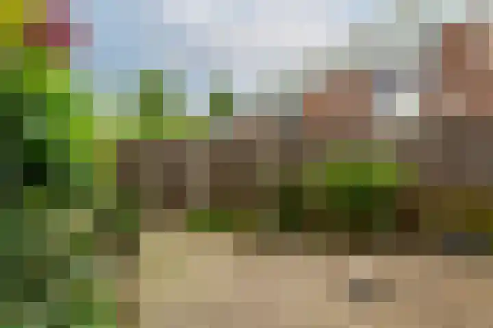 Esdoornlaan 26 Berkel en Rodenrijs thumbnail 30