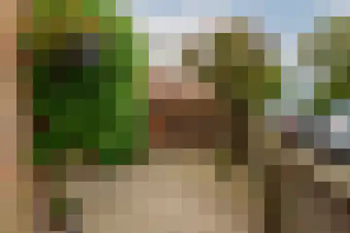 Esdoornlaan 26 Berkel en Rodenrijs thumbnail 31