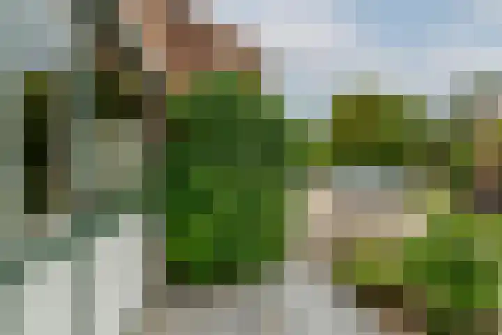 Esdoornlaan 26 Berkel en Rodenrijs thumbnail 32