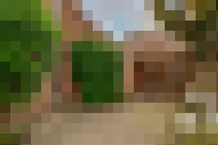 Esdoornlaan 26 Berkel en Rodenrijs thumbnail 33