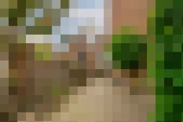 Esdoornlaan 26 Berkel en Rodenrijs thumbnail 34