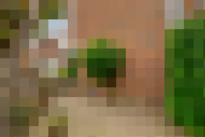 Esdoornlaan 26 Berkel en Rodenrijs thumbnail 37