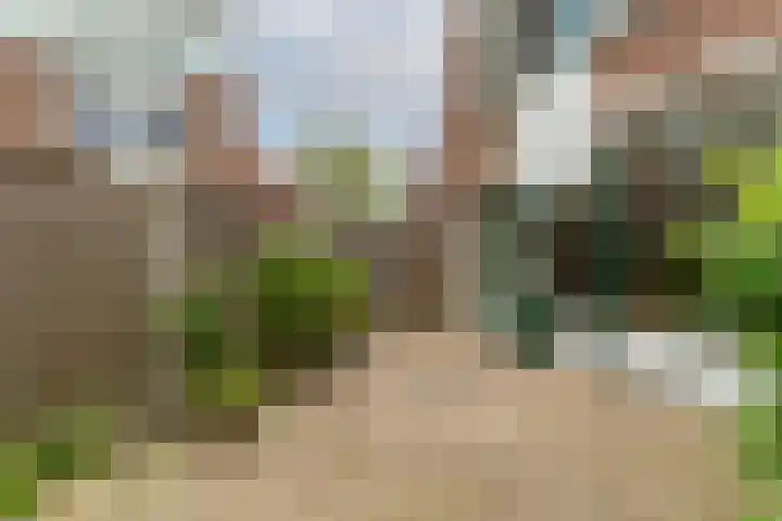 Esdoornlaan 26 Berkel en Rodenrijs thumbnail 38