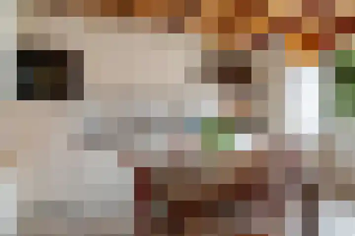Esdoornlaan 26 Berkel en Rodenrijs thumbnail 4