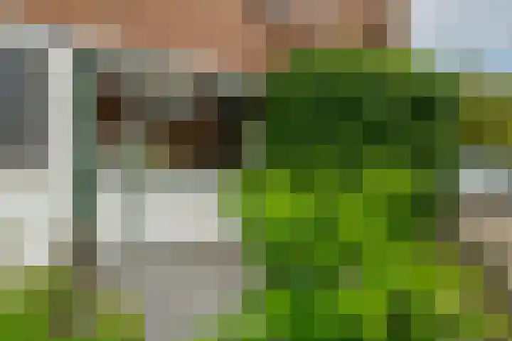 Esdoornlaan 26 Berkel en Rodenrijs thumbnail 40