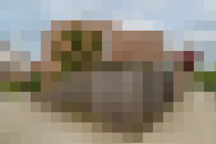 Esdoornlaan 26 Berkel en Rodenrijs thumbnail 41