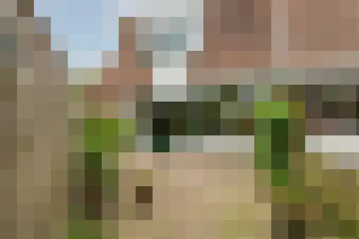 Esdoornlaan 26 Berkel en Rodenrijs thumbnail 42