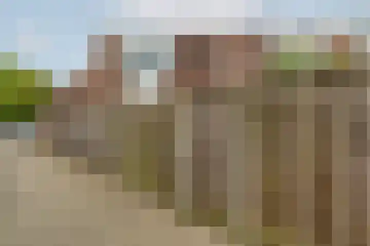 Esdoornlaan 26 Berkel en Rodenrijs thumbnail 43