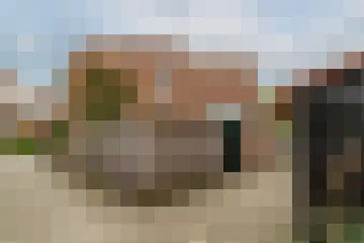 Esdoornlaan 26 Berkel en Rodenrijs thumbnail 45