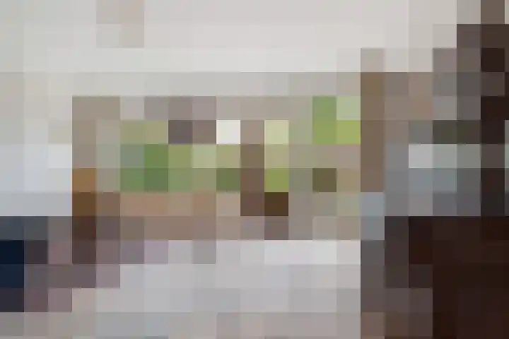 Esdoornlaan 26 Berkel en Rodenrijs thumbnail 5