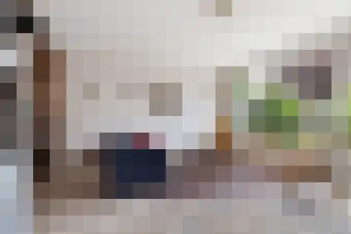 Esdoornlaan 26 Berkel en Rodenrijs thumbnail 6