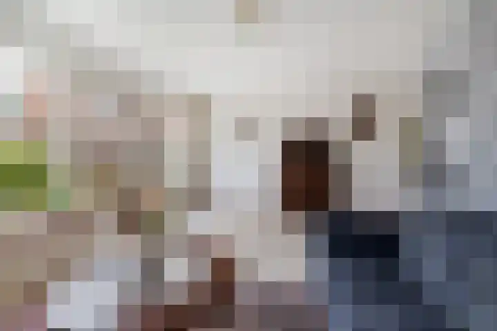 Esdoornlaan 26 Berkel en Rodenrijs thumbnail 8