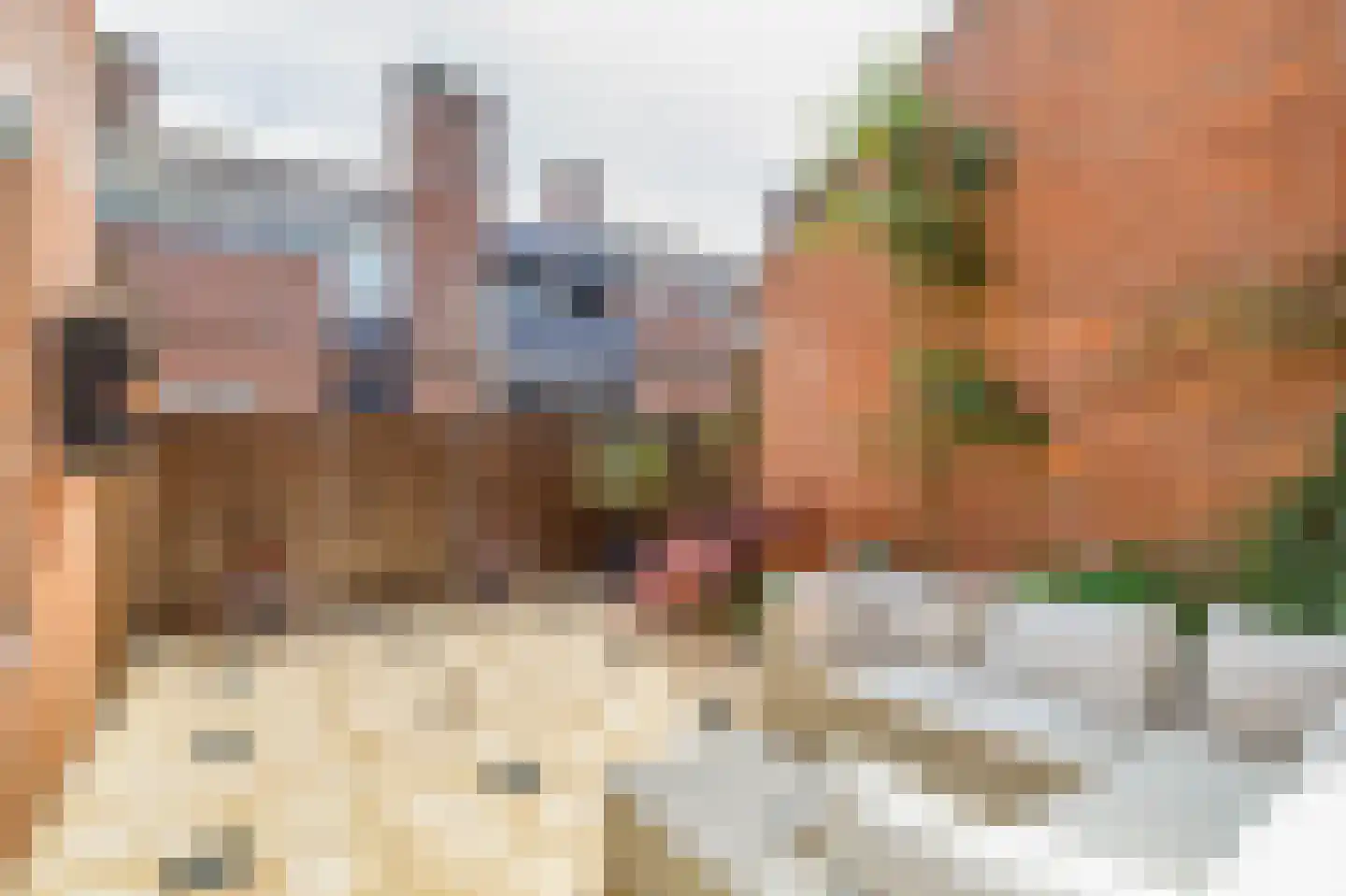 Esdoornlaan 26 Hellevoetsluis thumbnail 26