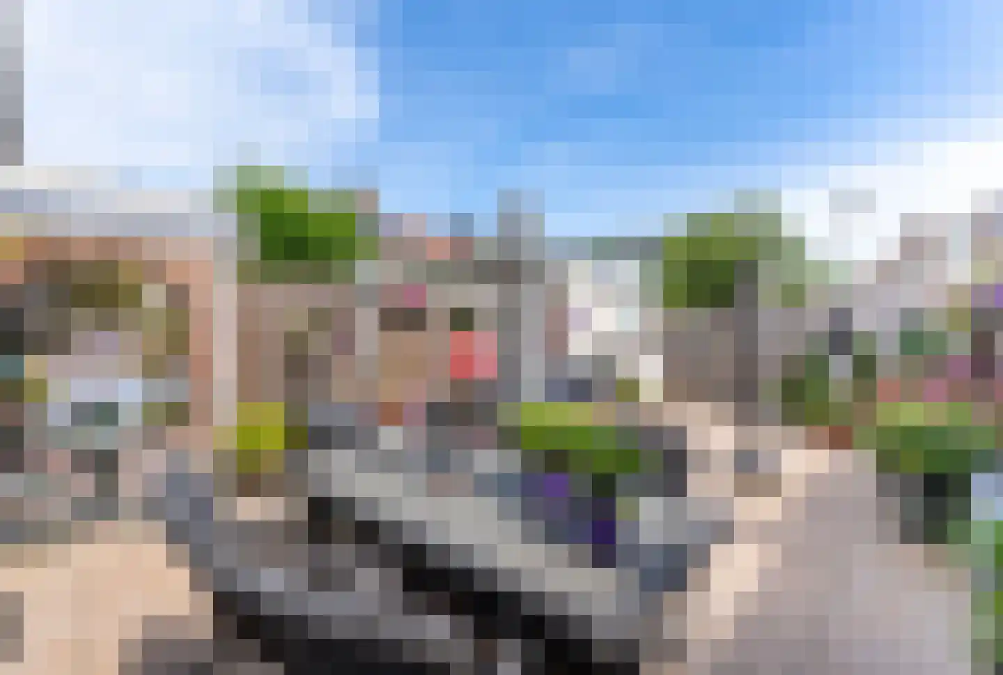 Esdoornlaan 27 Hellevoetsluis thumbnail 20