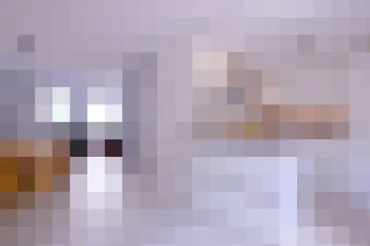 Esdoornlaan 28 Deventer thumbnail 10