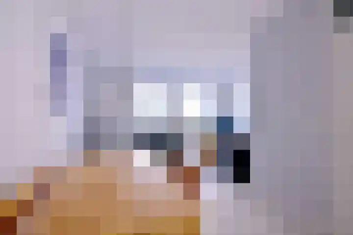 Esdoornlaan 28 Deventer thumbnail 17