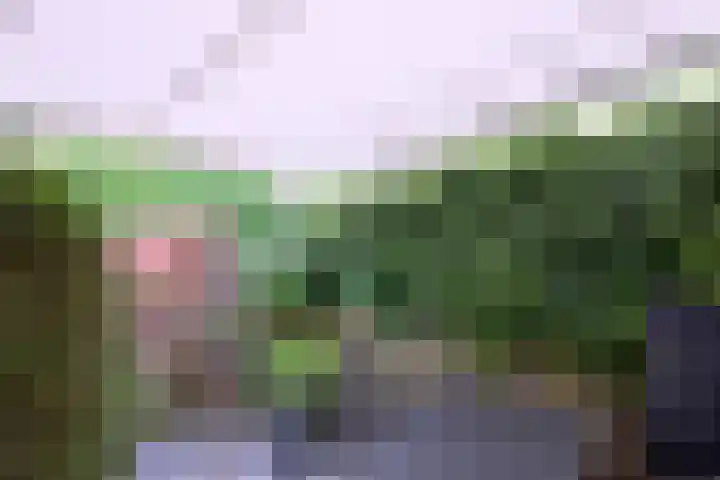 Esdoornlaan 28 Deventer thumbnail 37