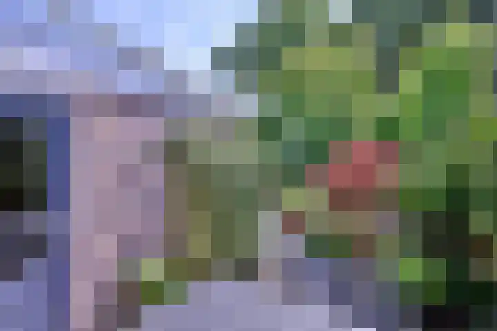 Esdoornlaan 28 Deventer thumbnail 38