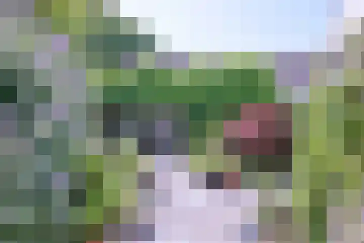 Esdoornlaan 28 Deventer thumbnail 39